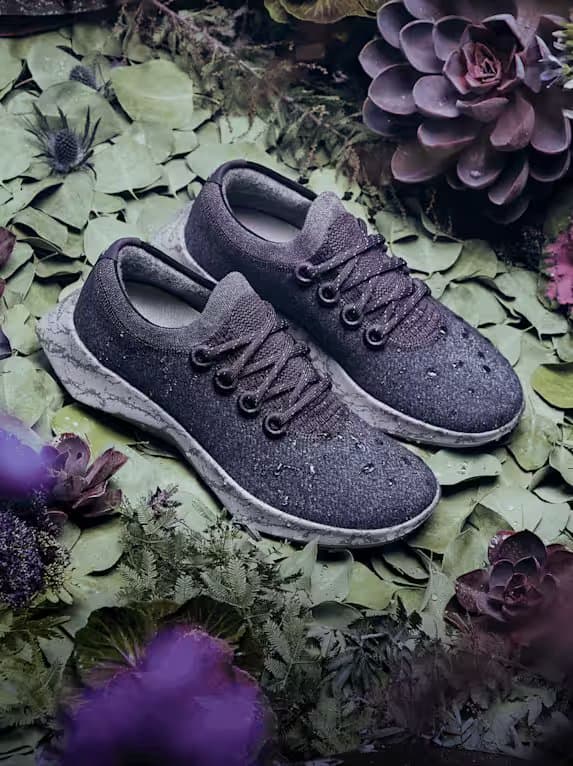 shoes photo
