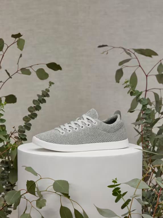 shoes photo