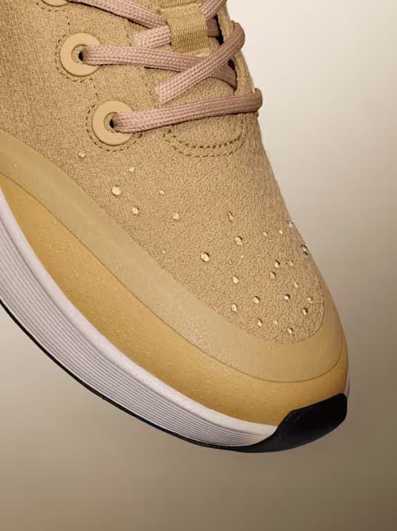 shoes photo