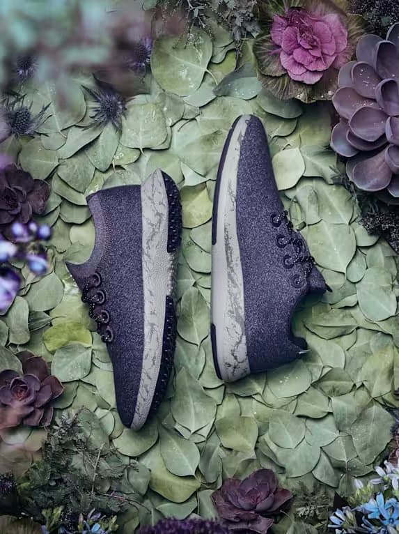 shoes photo