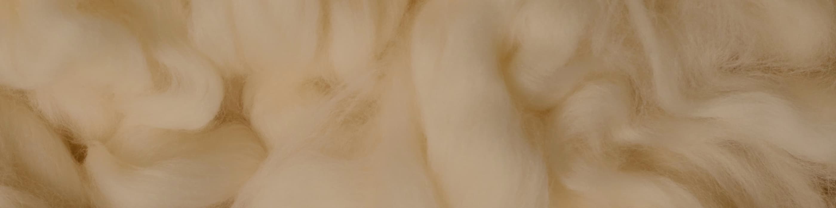 bg-image